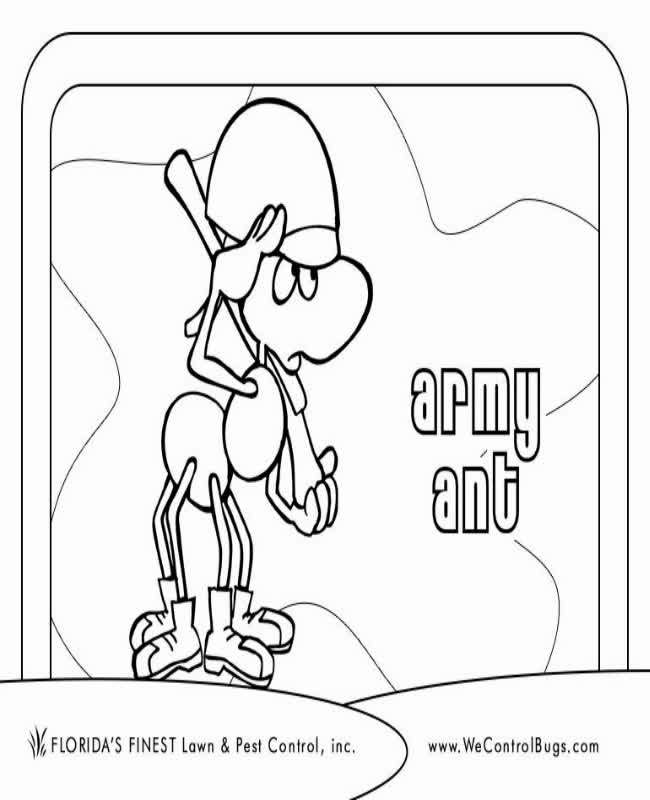 ant,ant farm,ant colony,ant war,army ant,fire ant,sand ant farm,ant terrarium,ant nest,ant x ana,ant philippines,ant formicarium,ant queen,queen ant,furry ant,bullet ant,ant roblox,roblox ant,giant amazonian ant,ant hill art,red fire ant,ant preying,ant habitat,ant hunt wasp,hairy pet ant,sadraddin ant,argentine ant,carpenter ant,ant hunt snake,ant hunt giant millipede,ant hunt hornet,ant hunting prey,ant hunting video