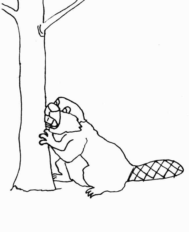 beaver,beaver dam,beavers,beaver lodge,beaver trapping,baby beaver,beaver rescue,justin beaver,busy beavers,bbc beaver,beaver fever,rescue beaver,the dodo beaver,beaver trapper,beaver (animal),american beaver,beaver dam removal,beaver documentary,beaver building dam,beaver dam time lapse,breaking a beaver dam,beaver bbc,beaver pet,beaver kit,pet beaver,beavers documentary,beaver dam destruction,beaver song,beaver dams,beaver game